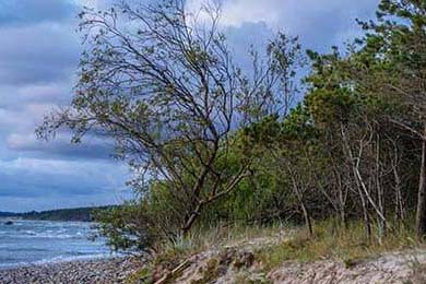 76人队强化内线防守效果显著，76人队强化内线防守效果显著吗