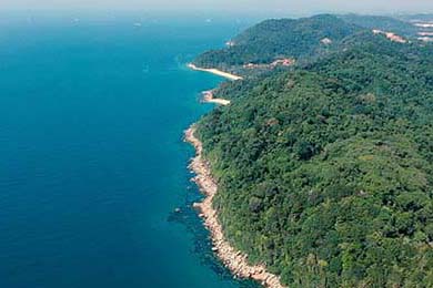 2022年季后赛：库里在第七场决胜局中投中多记关键三分，成功带队夺冠！